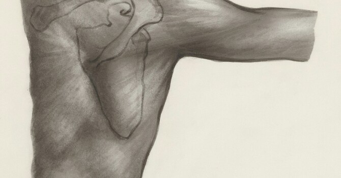 The Wonderful World of Fascia image